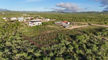 Lote en Venta 500m2 en Migriño, Cabo San Lucas | Financiamiento Directo